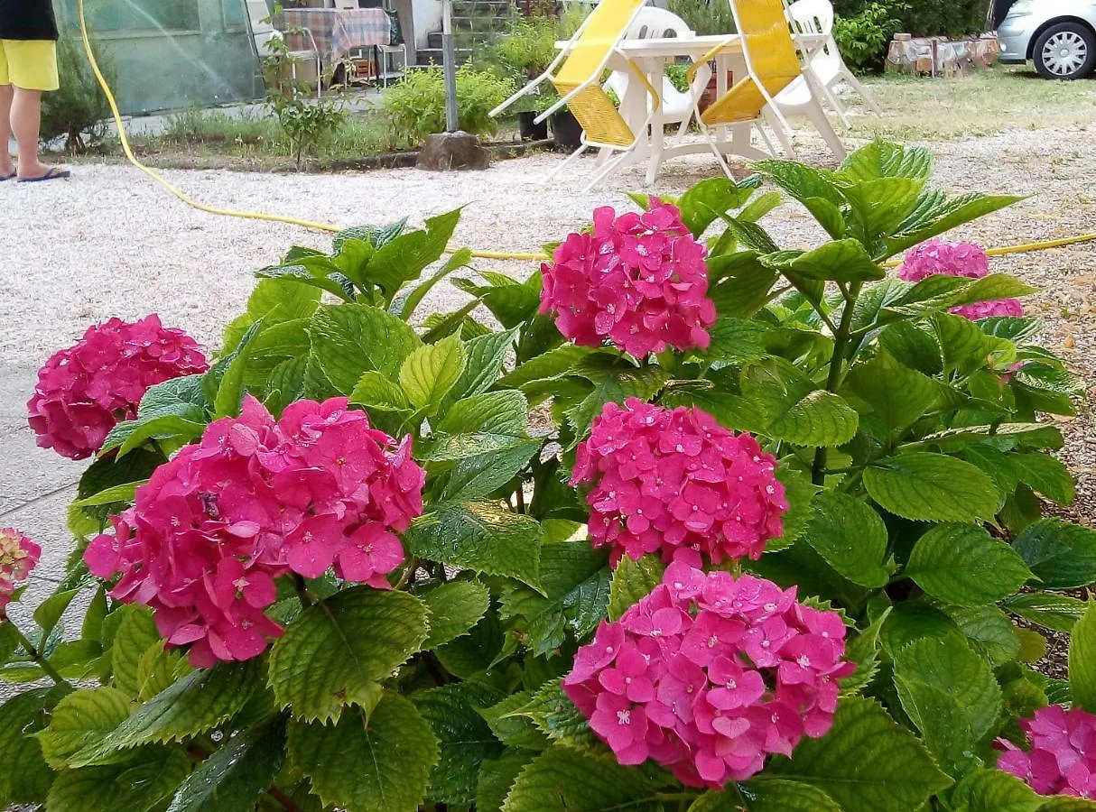 Un Giardino Vicino Al Mare Apartment Bellaria-Igea Marina